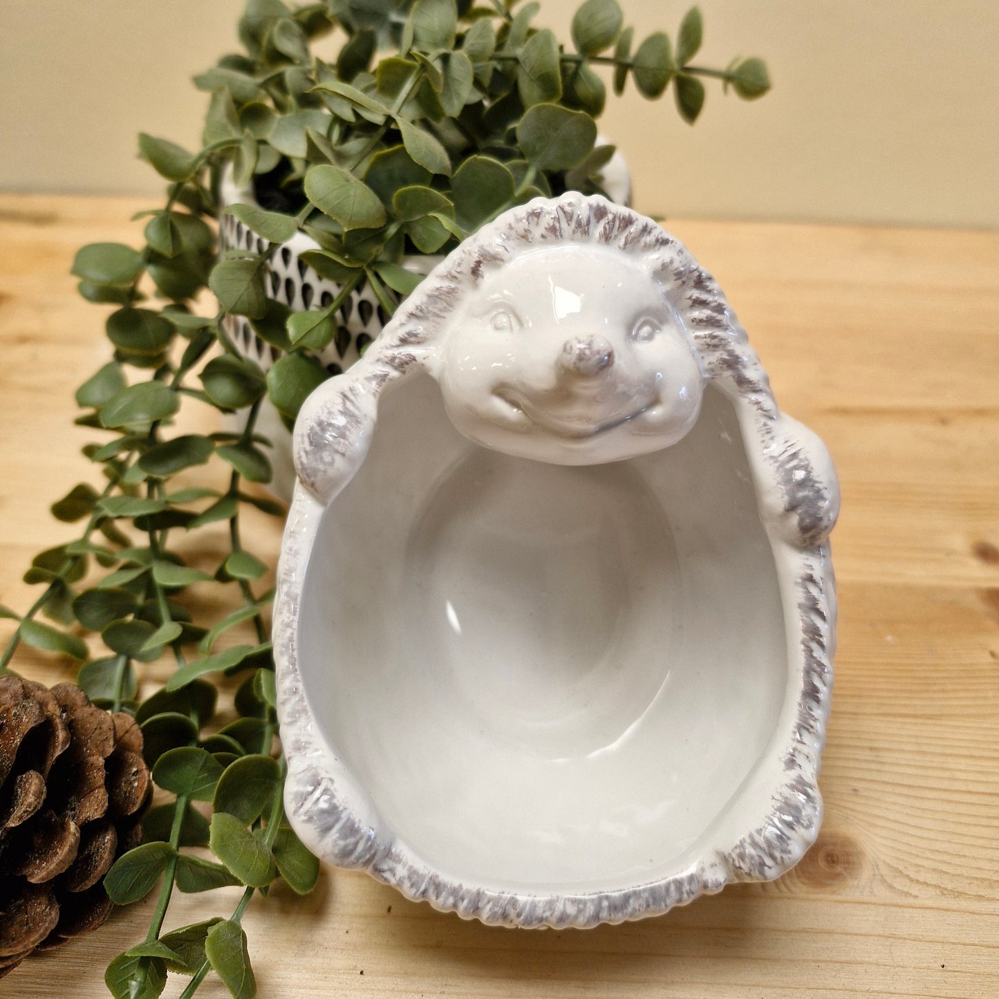 Ceramic Hedgehog on Back Bowl